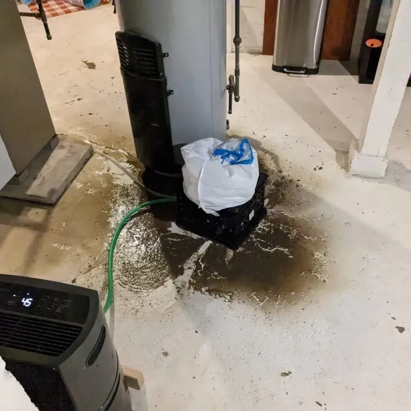 Sewage Backup Cleanup Service in Devola, OH